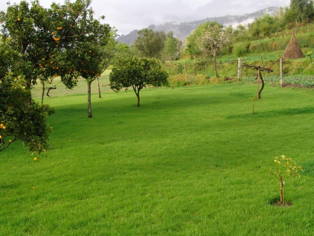 Апартаменты Quinta De Santa Marinha Аркуш-ди-Валдевеш Экстерьер фото